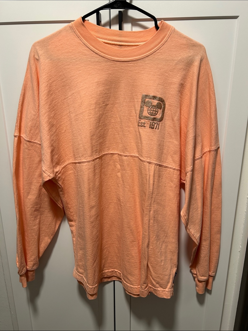 Walt Disney World Rose Gold Spirit Jersey